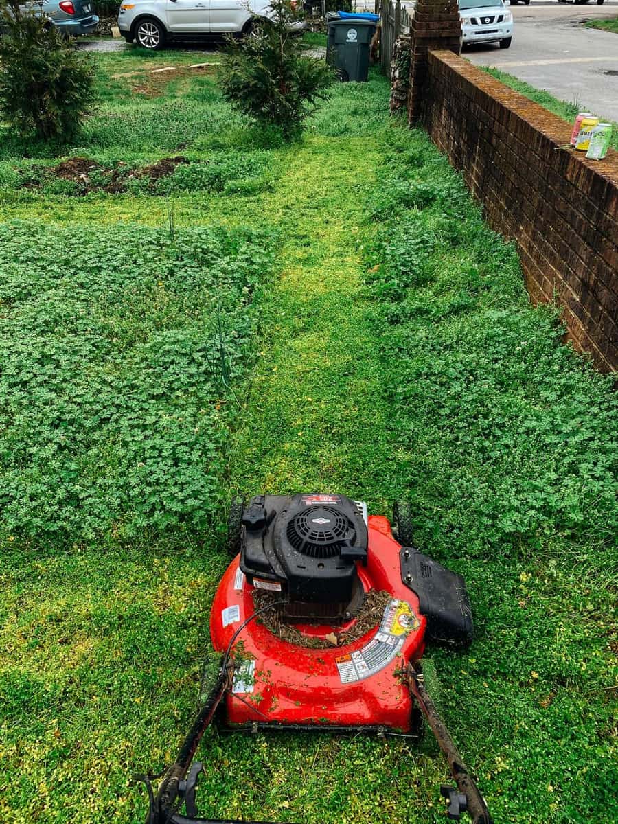 Lawn Care & Landscaping